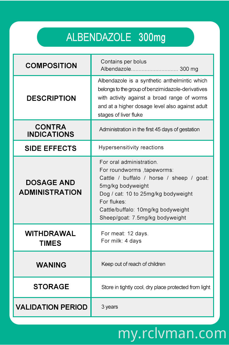 Albendazole တက်ဘလက် 02 Albendazole Tablets 02